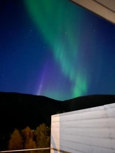 an image of the northern lights in the sky at House in the nature, Tromsø in Tromsø