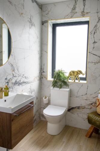 a bathroom with a toilet and a cat in a window at Rowing club house in Carrick on Shannon