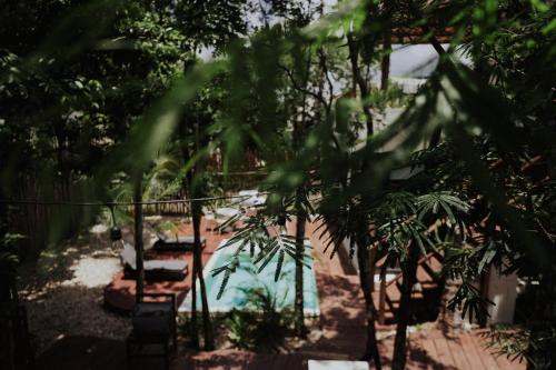 a view of a swimming pool with chairs and trees at Las Villas I & II in Tulum