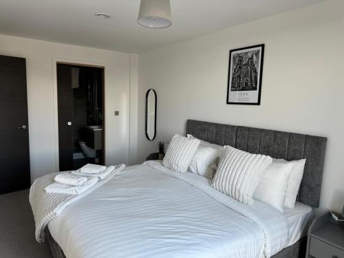York Minster Icona 250 FREE parking & gym photo 6
