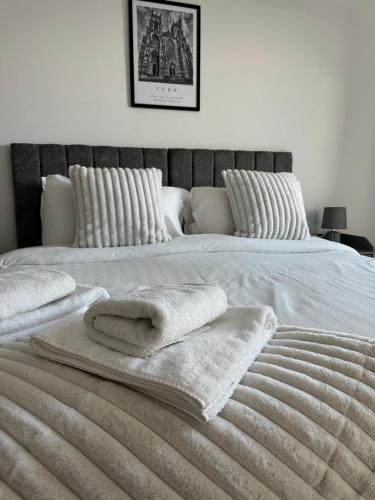 York Minster Icona 250 FREE parking & gym photo 4