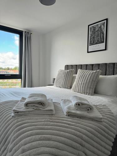 York Minster Icona 250 FREE parking & gym photo 3