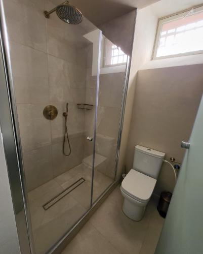 a bathroom with a shower and a toilet at כוהנ'ס Cohen's Boutique Hotel in Haifa