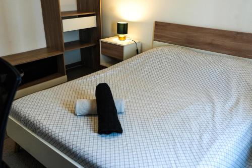 un lit avec un objet noir assis sur lui dans l'établissement Appartement Temis et Centre ville avec Parking-wifi, à Besançon