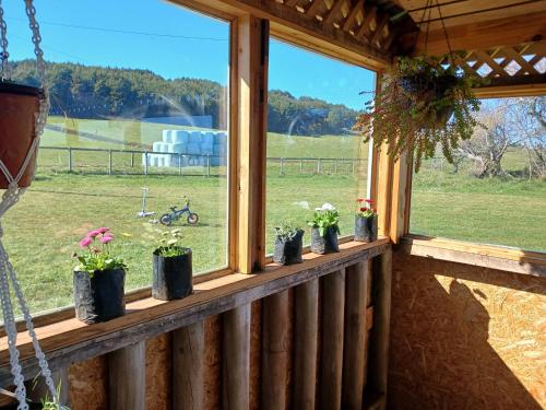 a window with potted plants on a ledge at Hermosa Casona en los Muermos in Los Muermos