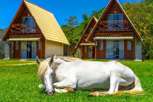 a white horse laying in the grass in front of houses at Villa Park Chalés - A sua fazendinha ao lado do Beto Carrero in Penha