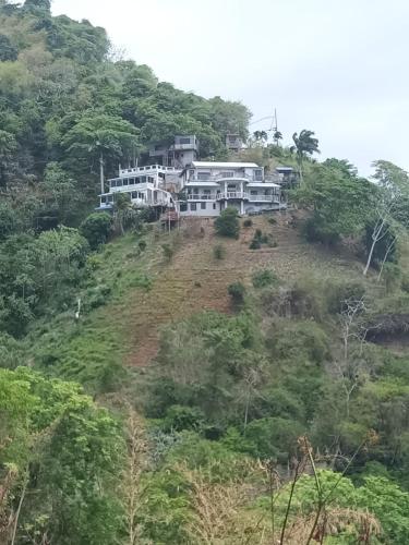 a house on top of a hill with trees at Paradise Point Villas in Castara