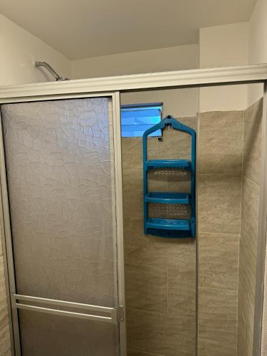 a shower with a blue ladder in a bathroom at Habitaciones tipo hotel con terraza in Ibagué