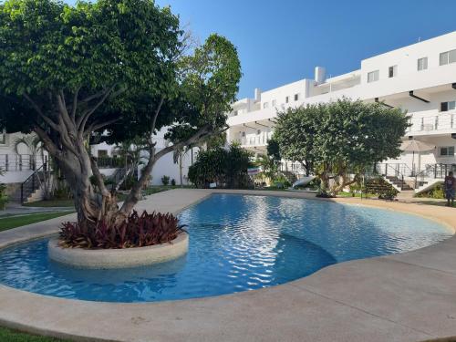 a swimming pool with a tree in front of a building at Casablanca207 in Acapulco