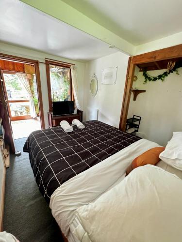a hotel room with two beds and a television at Waiheke Island Guesthouse in Ostend