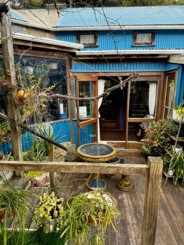 a blue house with a bench in front of it at Waiheke Island Guesthouse in Ostend