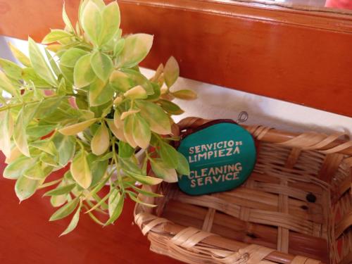 a plant in a basket with a sign on it at Casa aloha-Isla Holbox in Holbox Island