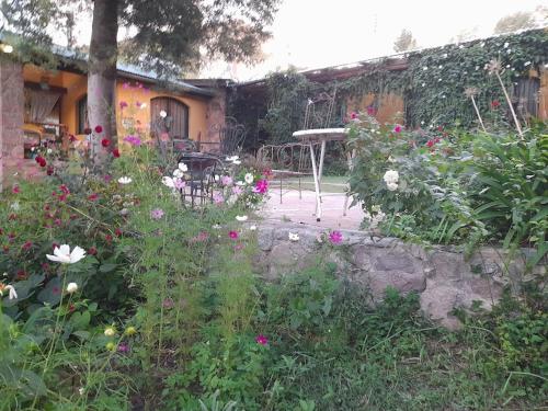Κήπος έξω από το Apart & cabañas Duendes del Pungo