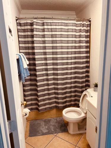 a bathroom with a shower curtain and a toilet at Private comfortable luxury property in Orlando