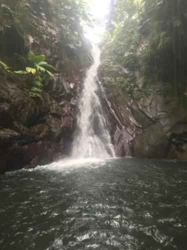 a waterfall in the middle of a river at Hibiscus Paradise in Vieux-Habitants