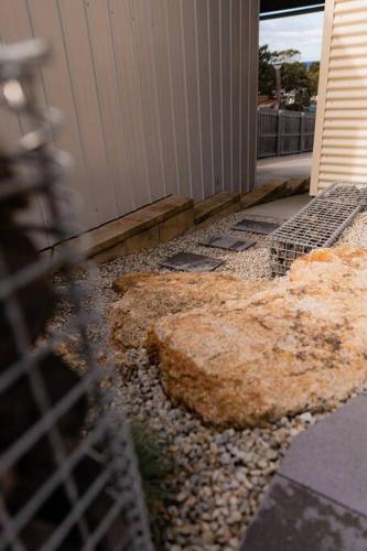 a front door of a house with a bunch of rocks at Tides & Tails - Pet Friendly in Scamander