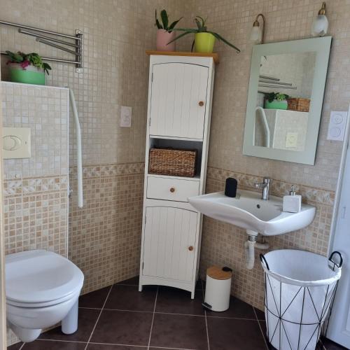 une salle de bain avec un lavabo et des toilettes dans l'établissement Studio Gypsy, à Isigny-le-Buat