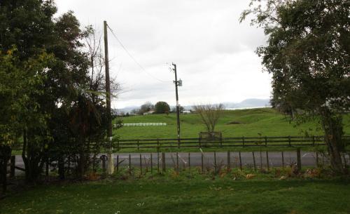 a fence on the side of a road with a field at Willow's End in Hamurana