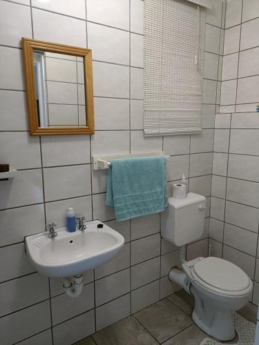 a bathroom with a toilet and a sink and a mirror at Chameleon in Kirkwood