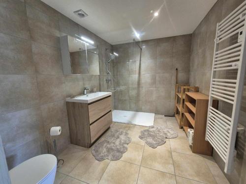 une salle de bain avec un lavabo, une douche et des toilettes dans l'établissement Gite équestre, belle maison ancienne en pierre, à Saint-Setiers