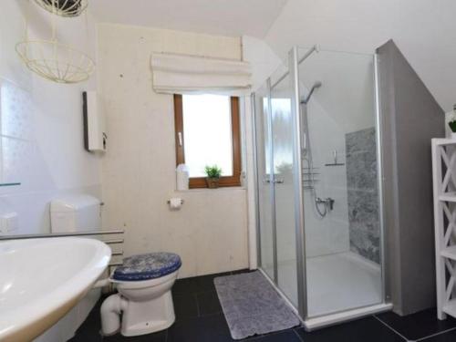 a bathroom with a shower and a toilet and a sink at Holiday home Keim Comfortable Vacation Home in Negenborn