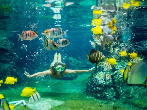 Ospiti di Pacific Islands Club Guam