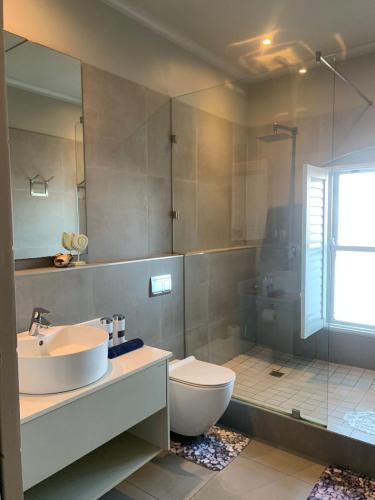 a bathroom with a sink and a toilet and a shower at Hermanus Waterfront Apartment 12 in Hermanus