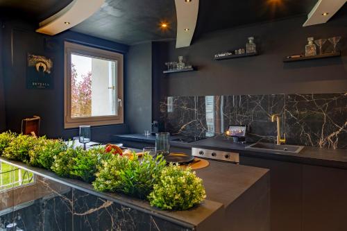 a kitchen with a counter with plants on it at Escapade 007 Refuge d Agent in Blois