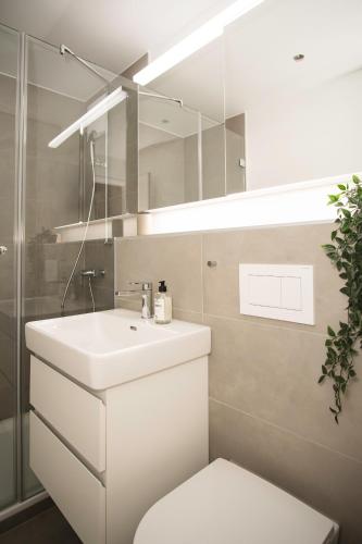 Top floor studio with terrace and free BaselCard