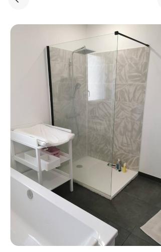 La salle de bains est pourvue d'une douche et d'un lavabo blanc. dans l'établissement Maison entre lac et montagne, à Charvonnex