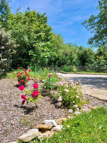 a row of flowers in a garden on the side of a road at Gîte de la Peyre et du Causse in Florimont-Gaumiers