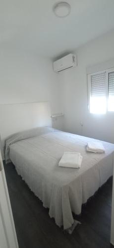 Savio apartamento