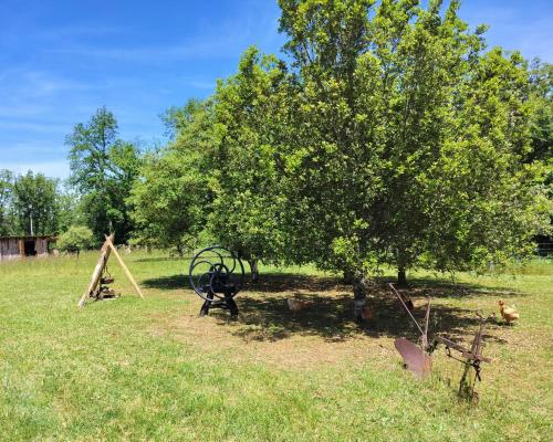 a large tree and a bench in a field at Gîte de la Peyre et du Causse in Florimont-Gaumiers