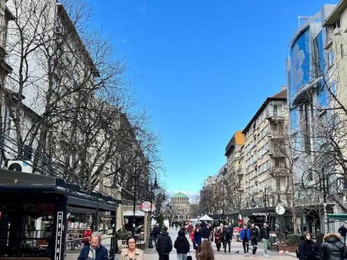 Vitosha Blvd Spacious and Quiet Apartment in Gallery