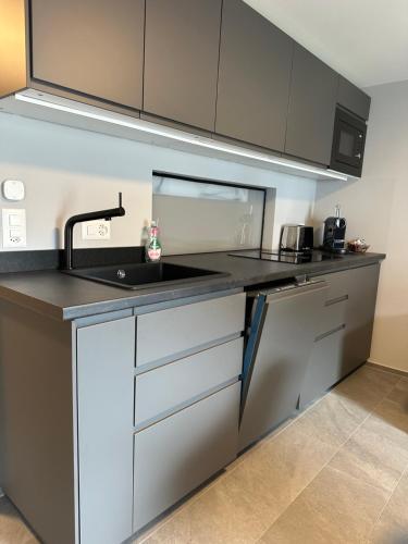 a kitchen with a sink and a counter top at Studio Villa Anna in Davos