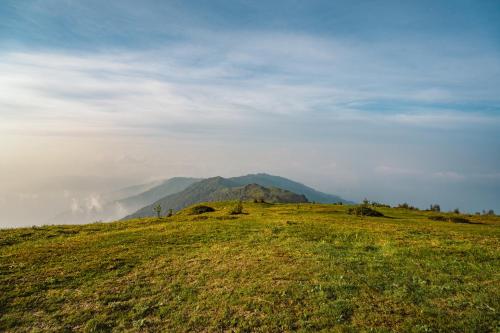 a green field with a mountain in the background at Poshtel, Meghma , Sandakphu in Darjeeling