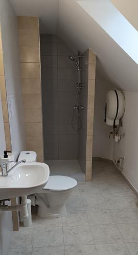 a bathroom with a shower and a toilet and a sink at Ubytování U Tajčů in Dolní Beřkovice