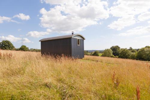 a shed in a field of tall grass at Barbara Shepherds Hut in Kent