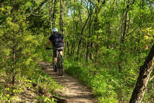 a man riding a bike on a trail in the woods at Stone Farmhouse in Groves - Sea & Mountain Views in Kalamaki Messinia