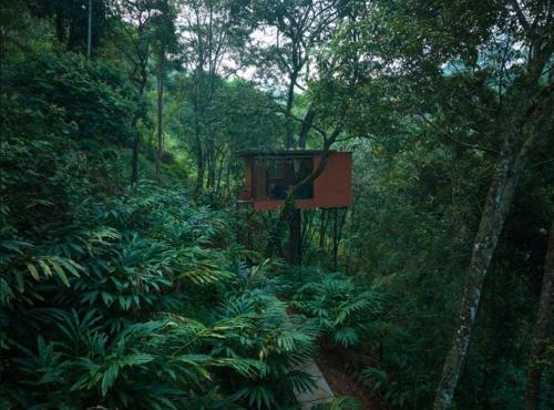 a tree house in the middle of a forest at Eterno Camellia & Elettaria Resort with Pool in Munnar