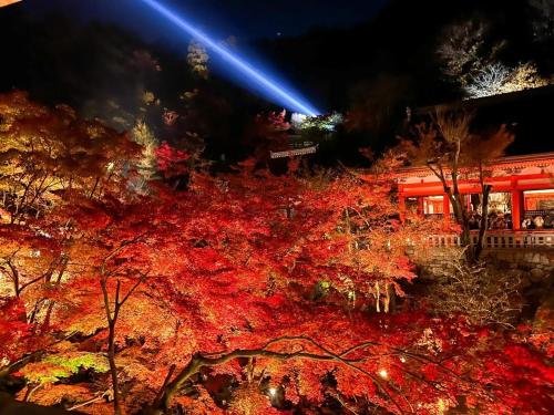 Rinn Gion Yasakamae