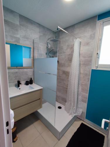 une salle de bain avec douche et lavabo dans l'établissement Appartement rénové moderne 2 chambres à Montréjeau, à Montréjeau