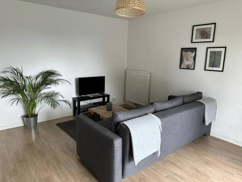 un salon avec un canapé et une télévision dans l'établissement Appartement proche CHU avec balcon et parking, à Lille