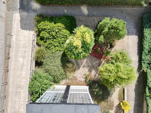 an overhead view of a garden with trees and bushes at A-Austerlitz Hotel in Brno