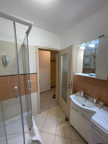 a bathroom with a shower and a sink at Apartment in the Villa Northern Dreams #3 PARKING INCLUDED IN PRICE in Timişoara