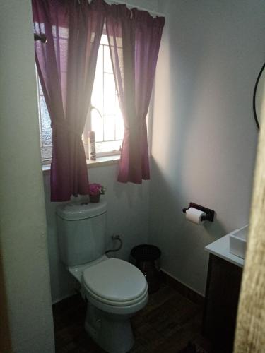 a bathroom with a toilet and a window at De la Rose Guesthouse in Lephalale
