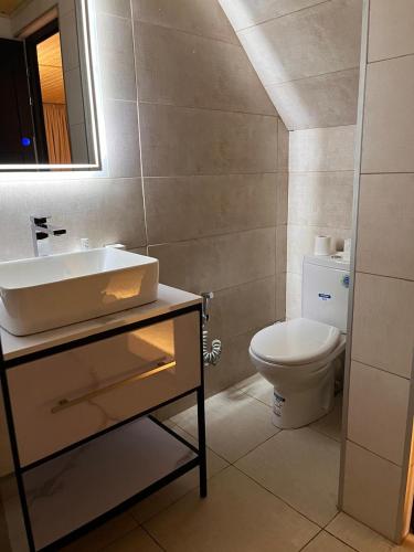 a bathroom with a sink and a toilet at EMKA Cottages Kazbegi in Kazbegi