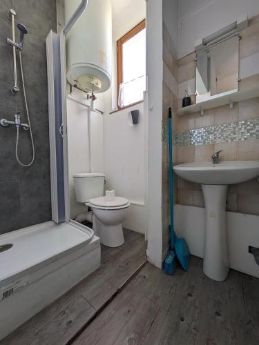 une salle de bain avec un lavabo, des toilettes et une douche dans l'établissement L'Opale, studette 5, à Berck-sur-Mer