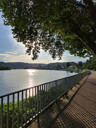 a tree hanging over a fence next to a body of water at Ferienwohnung Wandereck in Boppard