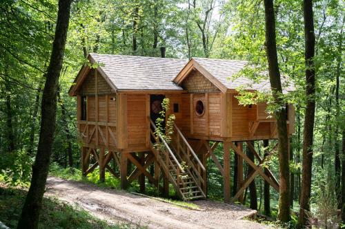 a tree house in the middle of the forest at Les cabanes des Dolimarts in Bohan